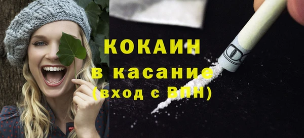 стафф Вязьма