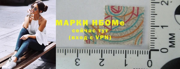 стафф Вязьма