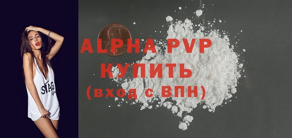 стафф Вязьма