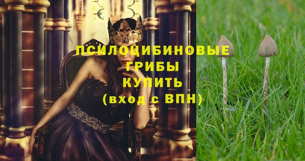 стафф Вязьма