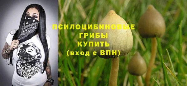 стафф Вязьма
